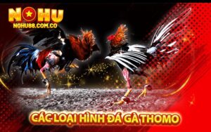 Các loại Hình đá gà Thomo