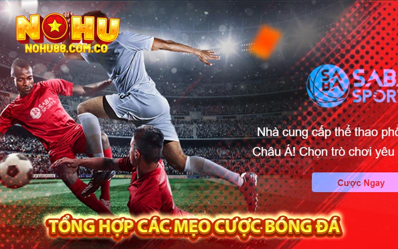Mẹo Cược Bóng Đá Top Những Cách Chơi Hiệu Quả 3 Tổng Hợp Các Mẹo Cược Bóng Đá