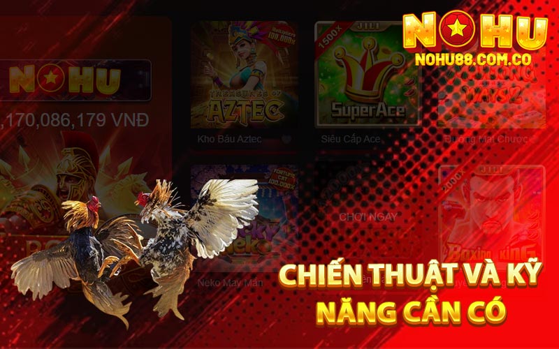 Gà Cú Là Gì? Cách Chọn Gà Và Chơi Hiệu Quả Để Chơi 4 Chiến Thuật Và Kỹ Năng Cần Có