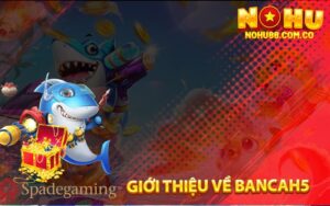 Giới Thiệu Về Bancah5