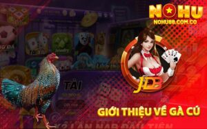 Giới Thiệu Về Gà Cú