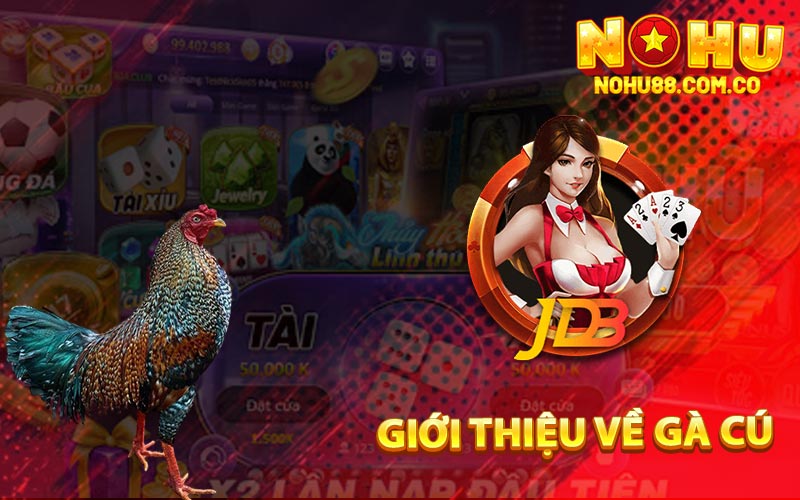 Gà Cú Là Gì? Cách Chọn Gà Và Chơi Hiệu Quả Để Chơi 2 Giới Thiệu Về Gà Cú