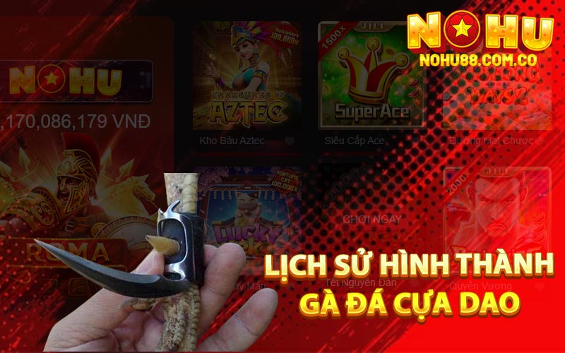Đá Gà Cựa Dao - Cách Chơi Đặt Cược Hiệu Quả Tại Trường Gà 3 Lịch Sử Hình Thành Gà Đá Cựa Dao