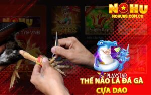 Thế Nào Là Đá Gà Cựa Dao