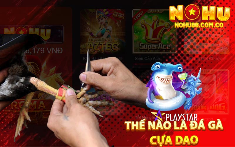 Đá Gà Cựa Dao - Cách Chơi Đặt Cược Hiệu Quả Tại Trường Gà 2 Thế Nào Là Đá Gà Cựa Dao