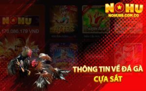 Thông Tin Về Đá Gà Cựa Sắt
