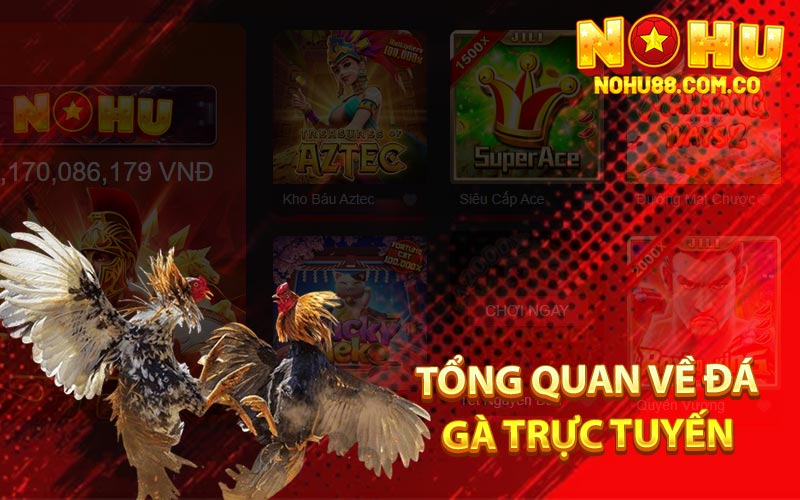Đá Gà Trực Tuyến - Loại Hình Cá Cược An Toan Người Dùng 2 Tổng Quan Về Đá Gà Trực Tuyến