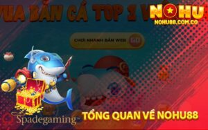 Tổng Quan Về Nohu88